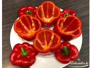 Geschmorte gefüllte Paprika